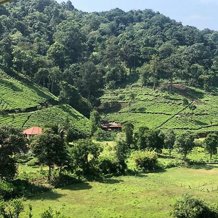 Janiro Tea Trees Villas Витхири Экстерьер фото