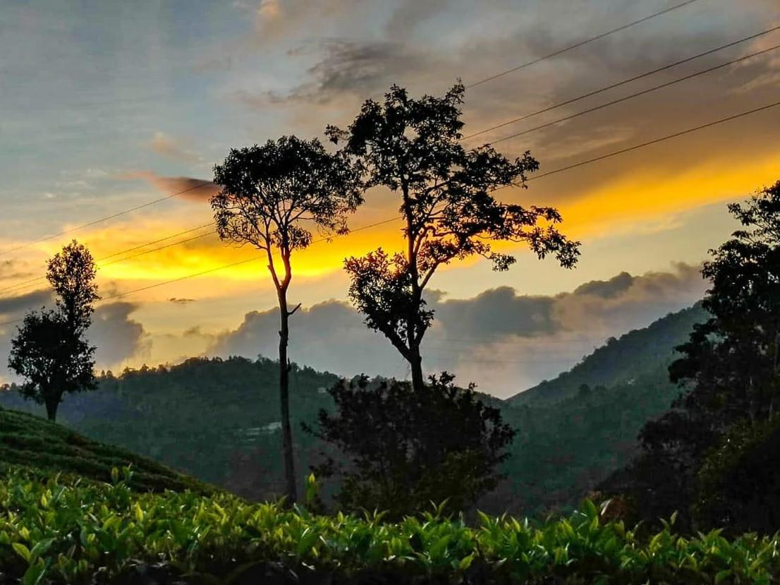 Janiro Tea Trees Villas Витхири Экстерьер фото