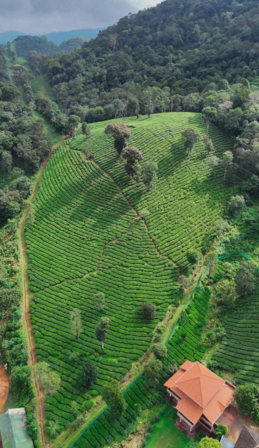 Janiro Tea Trees Villas Витхири Экстерьер фото