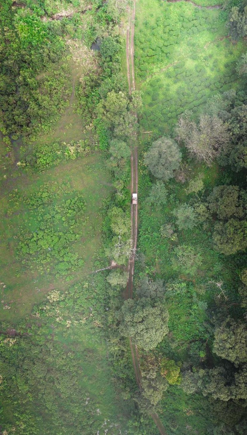 Janiro Tea Trees Villas Витхири Экстерьер фото
