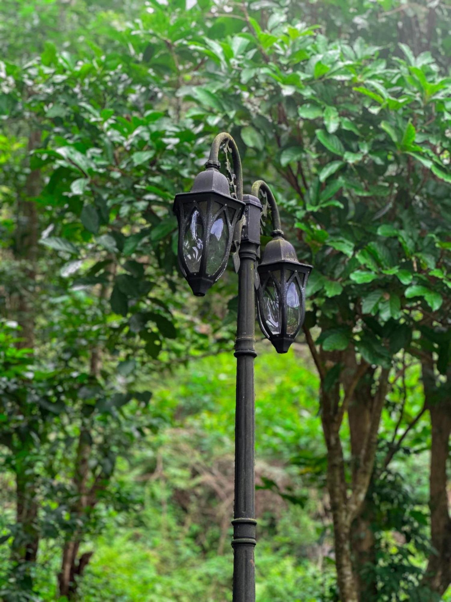 Janiro Tea Trees Villas Витхири Экстерьер фото